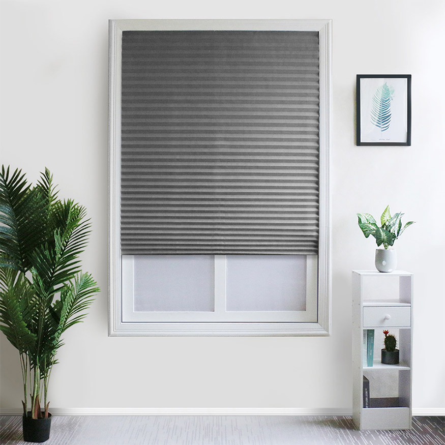 Pleated Duo Blinds